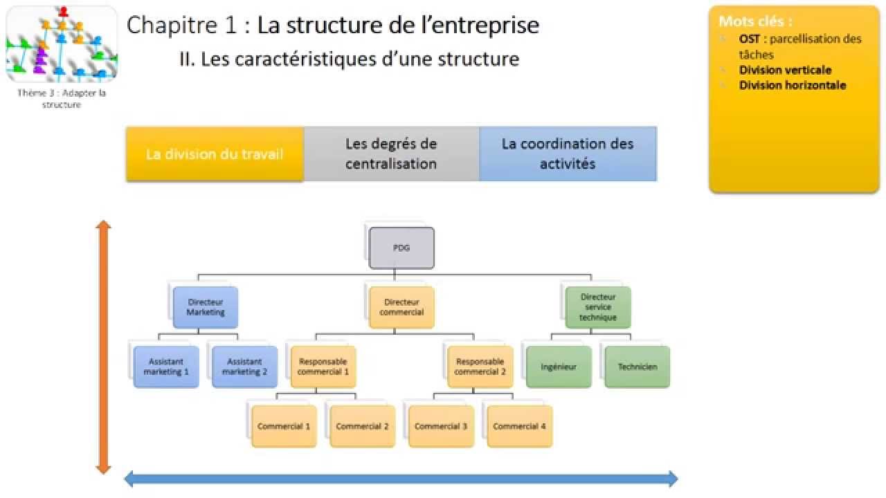 Thème 3 - Chapitre 1 : La structure de l'entreprise