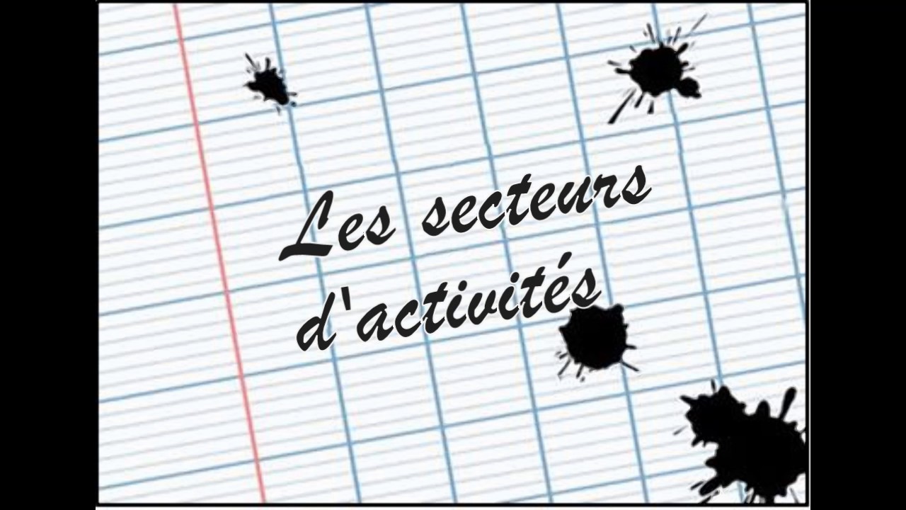 Capsule 1 : les secteurs d'activités