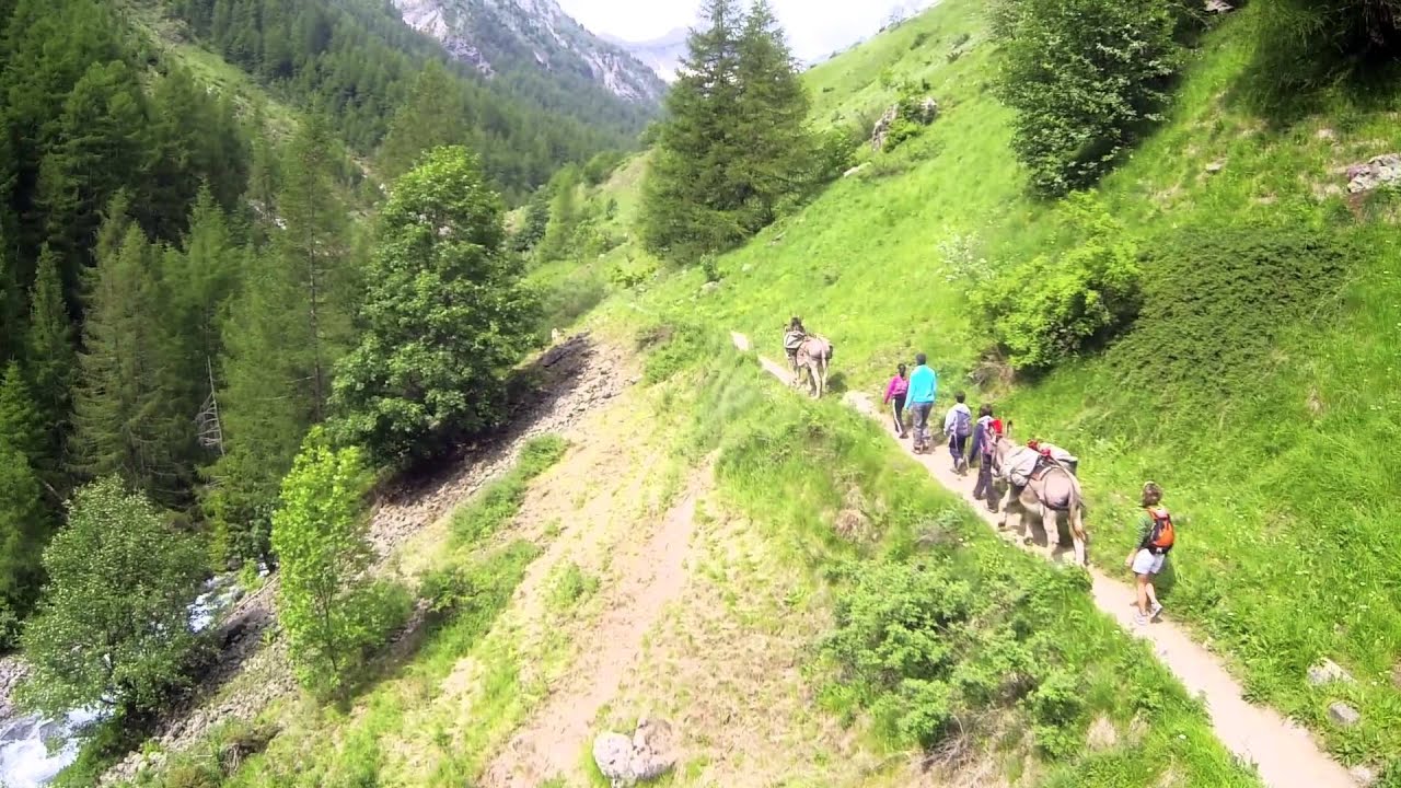 Vos vacances d'été à la montagne en Champsaur Valgaudemar