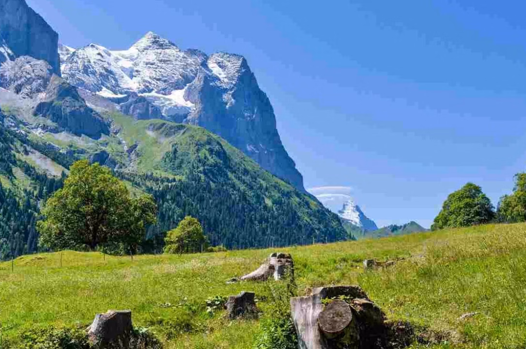 Location de Chalets en Montagne dans les Alpes