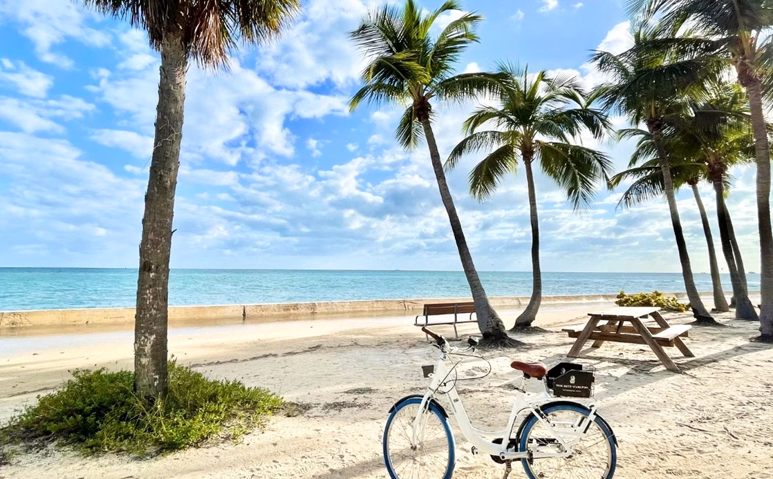 Location de Vélos sur la Côte Atlantique